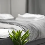 Peaceful Studio Apartment